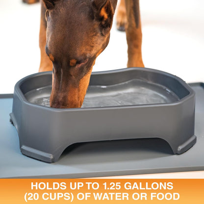Big Bowl - Extra Large Water Bowl for Dogs (1.25 Gallon Capacity, 160 Oz) - Huge over Size Pet Bowl - Gunmetal Grey