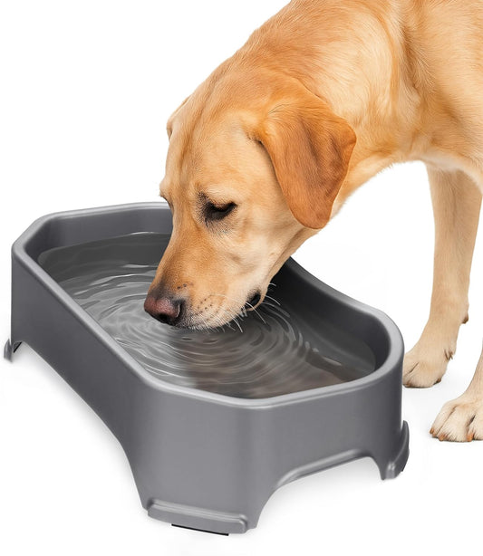 Big Bowl - Extra Large Water Bowl for Dogs (1.25 Gallon Capacity, 160 Oz) - Huge over Size Pet Bowl - Gunmetal Grey
