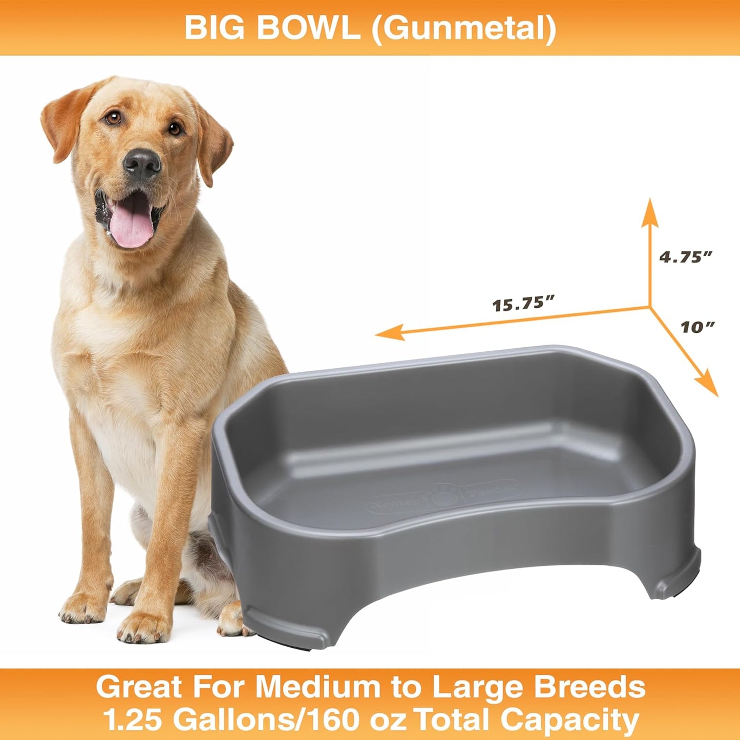Big Bowl - Extra Large Water Bowl for Dogs (1.25 Gallon Capacity, 160 Oz) - Huge over Size Pet Bowl - Gunmetal Grey